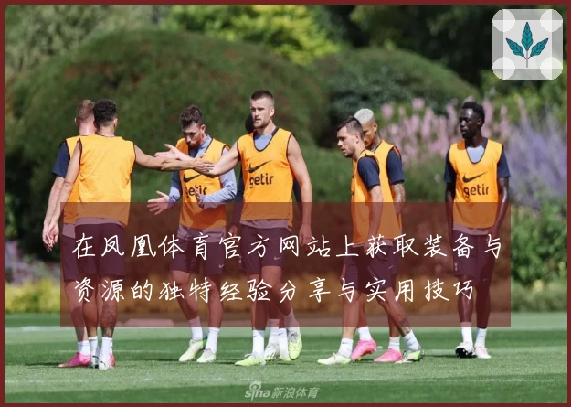 在凤凰体育官方网站上获取装备与资源的独特经验分享与实用技巧
